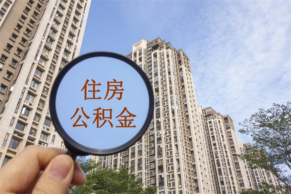 柳州离职多久可以取住房公积金(离职多久后能取公积金) 柳州离职多久可以取住房公积金(离职多久后能取公积金)